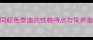 泰迪犬毛色全攻略不同颜色泰迪的性格特点与饲养指南附选色避坑指南