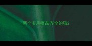 两个多月疫苗齐全的猫