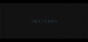 小猫几个月算成年