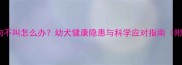 刚出生的小狗不叫怎么办幼犬健康隐患与科学应对指南附护理要点
