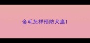 金毛怎样预防犬瘟