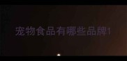 宠物食品有哪些品牌