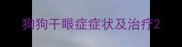 狗狗干眼症症状及治疗