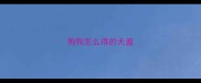 狗狗怎么得的犬瘟
