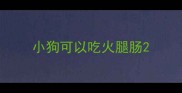 小狗可以吃火腿肠