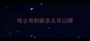 哈士奇到家多久可以喂