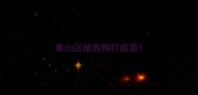 青山区给狗狗打疫苗