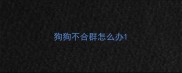 狗狗不合群怎么办