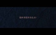猫咪清理耳朵乱动