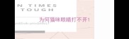 为何猫咪眼睛打不开