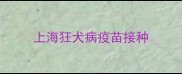 上海狂犬病疫苗接种