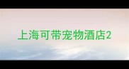 上海可带宠物酒店