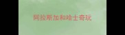 阿拉斯加和哈士奇玩