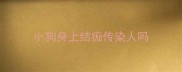 小狗身上结痂传染人吗