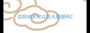 边牧幼犬可以吃火腿肠吗