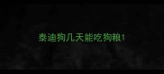 泰迪狗几天能吃狗粮