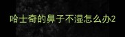 哈士奇的鼻子不湿怎么办