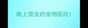 晚上营业的宠物医院