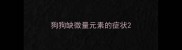 狗狗缺微量元素的症状
