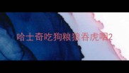 哈士奇吃狗粮狼吞虎咽
