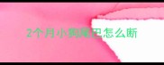 2个月小狗尾巴怎么断