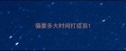 猫要多大时间打疫苗