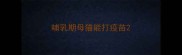 哺乳期母猫能打疫苗