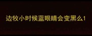 边牧小时候蓝眼睛会变黑么