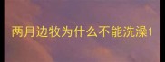 两月边牧为什么不能洗澡