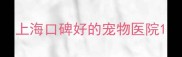 上海口碑好的宠物医院