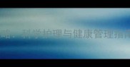 边境牧羊犬发情期全攻略科学护理与健康管理指南附详细操作步骤