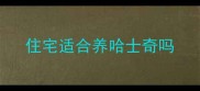 住宅适合养哈士奇吗