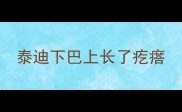 泰迪下巴上长了疙瘩
