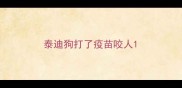 泰迪狗打了疫苗咬人
