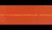 边牧两个月大幼犬体重标准与科学喂养全攻略附发育指标表