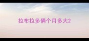 拉布拉多俩个月多大
