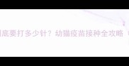 小猫疫苗到底要打多少针幼猫疫苗接种全攻略附时间表