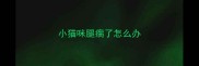小猫咪腿瘸了怎么办
