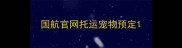 国航官网托运宠物预定