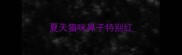 夏天猫咪鼻子特别红
