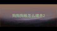 狗狗狗粮怎么喂养