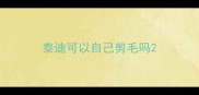 泰迪可以自己剪毛吗