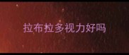 拉布拉多视力好吗