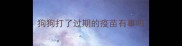狗狗打了过期的疫苗有事吗