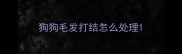 狗狗毛发打结怎么处理