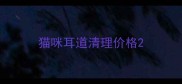 猫咪耳道清理价格