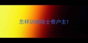 怎样训练哈士奇户主