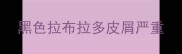 黑色拉布拉多皮屑严重