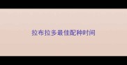 拉布拉多最佳配种时间