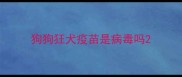 狗狗狂犬疫苗是病毒吗